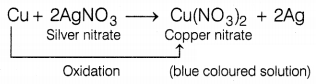 CBSE Sample Papers for Class 10 Science Set 6 with Solutions Q7