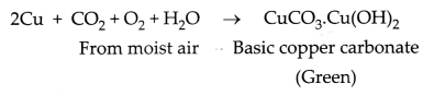 CBSE Sample Papers for Class 10 Science Set 3 with Solutions 17