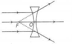 CBSE Sample Papers for Class 10 Science Set 5 with Solutions Q13.1