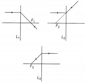 CBSE Sample Papers for Class 10 Science Set 5 with Solutions Q13