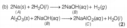 CBSE Sample Papers for Class 10 Science Set 5 with Solutions Q37