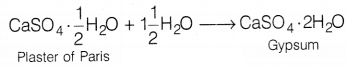 CBSE Sample Papers for Class 10 Science Set 12 with Solutions Q21