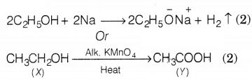 CBSE Sample Papers for Class 10 Science Set 12 with Solutions Q37