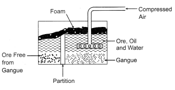 CBSE Sample Papers for Class 10 Science Set 4 with Solutions 17