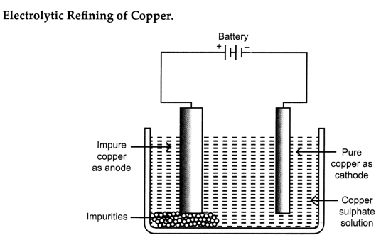 CBSE Sample Papers for Class 10 Science Set 4 with Solutions 20