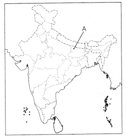 CBSE Sample Papers for Class 10 Social Science Set 11 with Solutions 2