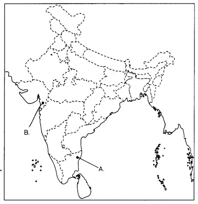 CBSE Sample Papers for Class 10 Social Science Set 11 with Solutions 3