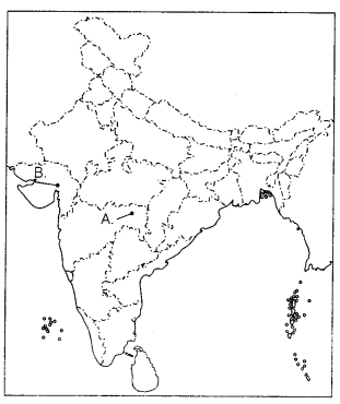 CBSE Sample Papers for Class 10 Social Science Set 10 with Solutions 3