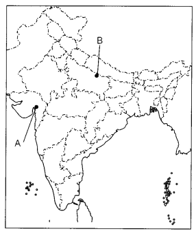 CBSE Sample Papers for Class 10 Social Science Set 9 with Solutions 4