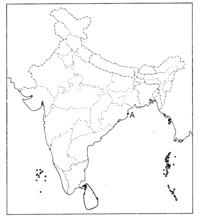 CBSE Sample Papers for Class 10 Social Science Set 3 with Solutions 2