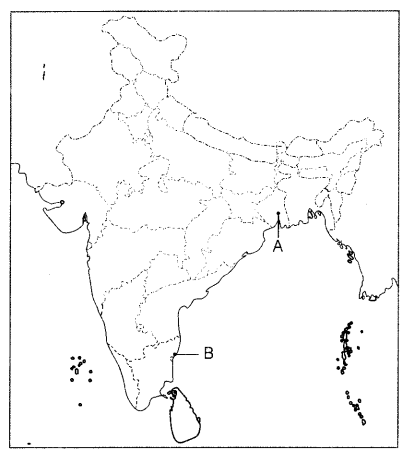 CBSE Sample Papers for Class 10 Social Science Set 3 with Solutions 3