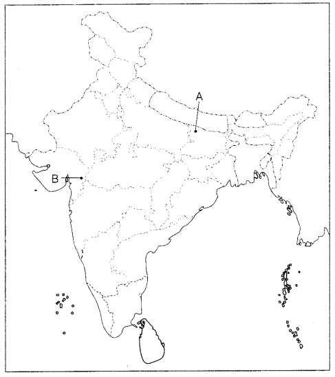 CBSE Sample Papers for Class 10 Social Science Set 2 with Solutions 3