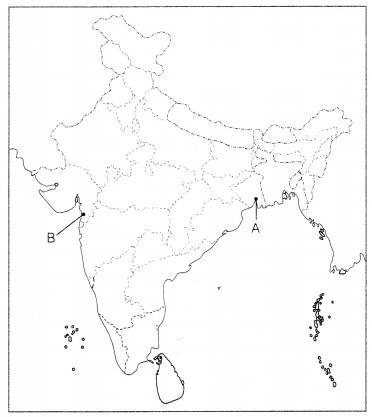 CBSE Sample Papers for Class 10 Social Science Set 1 with Solutions 3