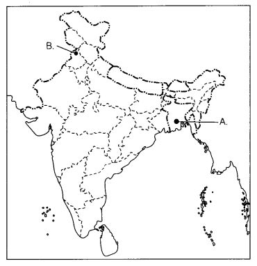 CBSE Sample Papers for Class 10 Social Science Set 8 with Solutions 4