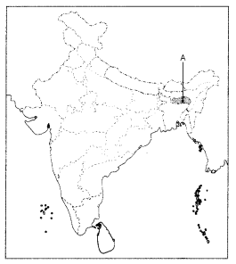 CBSE Sample Papers for Class 10 Social Science Set 7 with Solutions 2