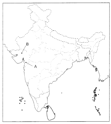 CBSE Sample Papers for Class 10 Social Science Set 7 with Solutions 4