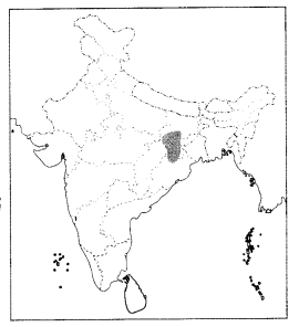 CBSE Sample Papers for Class 10 Social Science Set 5 with Solutions 2