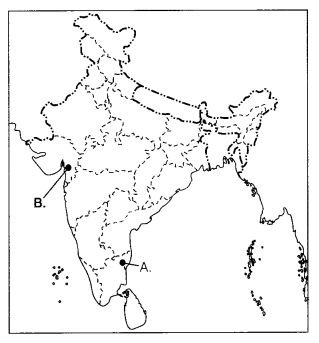 CBSE Sample Papers for Class 10 Social Science Set 5 with Solutions 3