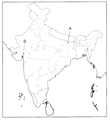 CBSE Sample Papers for Class 10 Social Science Set 12 with Solutions 4