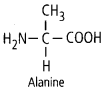 NCERT Solutions For Class 11 Biology Biomolecules Q11