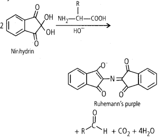 NCERT Solutions For Class 11 Biology Biomolecules Q13