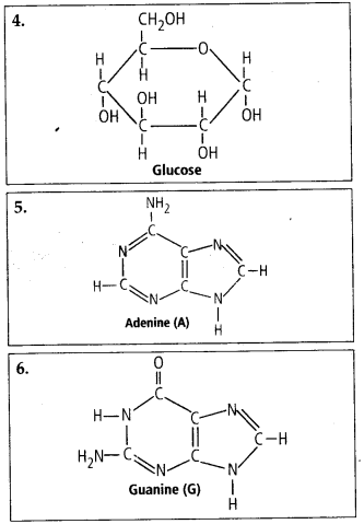 NCERT Solutions For Class 11 Biology Biomolecules Q4.1