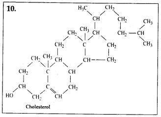 NCERT Solutions For Class 11 Biology Biomolecules Q4.3