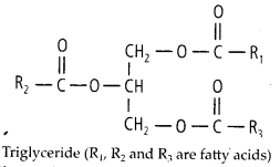 NCERT Solutions For Class 11 Biology Biomolecules Q7