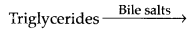 NCERT Solutions For Class 11 Biology Digestion and Absorption Q11