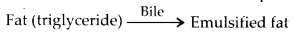 NCERT Solutions For Class 11 Biology Digestion and Absorption Q7