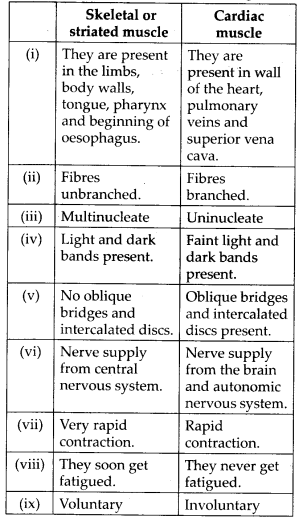 NCERT Solutions For Class 11 Biology Locomotion and Movement Q8