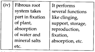 NCERT Solutions For Class 11 Biology Morphology of Flowering Plants Q6.2