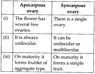 NCERT Solutions For Class 11 Biology Morphology of Flowering Plants Q6.3