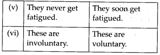 NCERT Solutions For Class 11 Biology Structural Organisation in Animals Q12.2