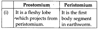 NCERT Solutions For Class 11 Biology Structural Organisation in Animals Q7