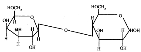 Biomolecules Class 11 Important Extra Questions Biology 3