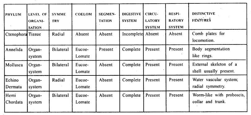 Class 11 Biology Important Questions Chapter 4 Animal Kingdom 18