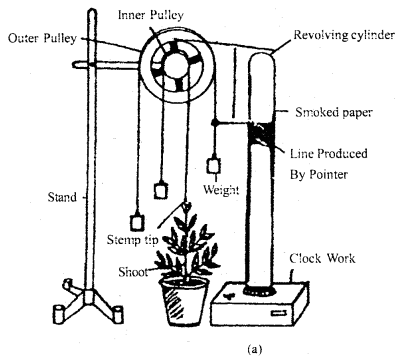 Plant Growth and Development Class 11 Important Extra Questions Biology 5