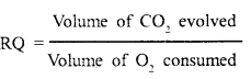 Respiration in Plants Class 11 Important Extra Questions Biology 1