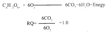 Respiration in Plants Class 11 Important Extra Questions Biology 6