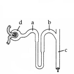 CBSE Sample Papers for Class 11 Biology Set 1 with Solutions 1