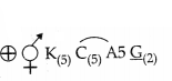 CBSE Sample Papers for Class 11 Biology Set 1 with Solutions 17