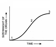 CBSE Sample Papers for Class 11 Biology Set 2 with Solutions 14