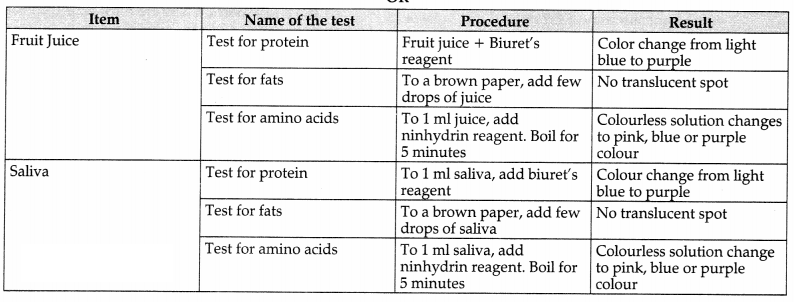 CBSE Sample Papers for Class 11 Biology Set 2 with Solutions 20