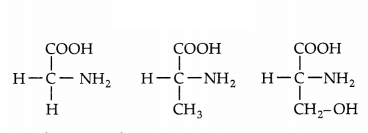 CBSE Sample Papers for Class 11 Biology Set 3 with Solutions 16