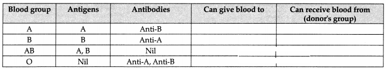 CBSE Sample Papers for Class 11 Biology Set 3 with Solutions 21