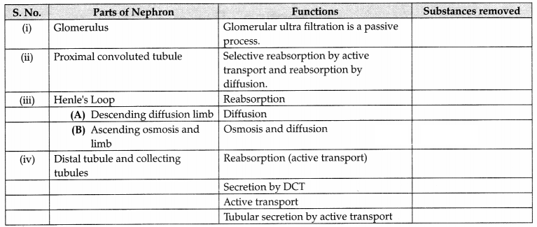 CBSE Sample Papers for Class 11 Biology Set 3 with Solutions 22