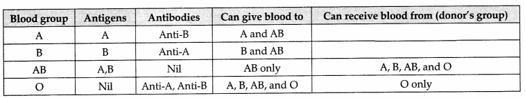 CBSE Sample Papers for Class 11 Biology Set 3 with Solutions 23