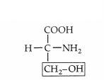 CBSE Sample Papers for Class 11 Biology Set 4 with Solutions 2