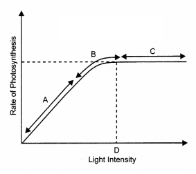 CBSE Sample Papers for Class 11 Biology Set 4 with Solutions 9